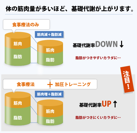 加圧トレーニングで筋肉量を増やして代謝率アップ!